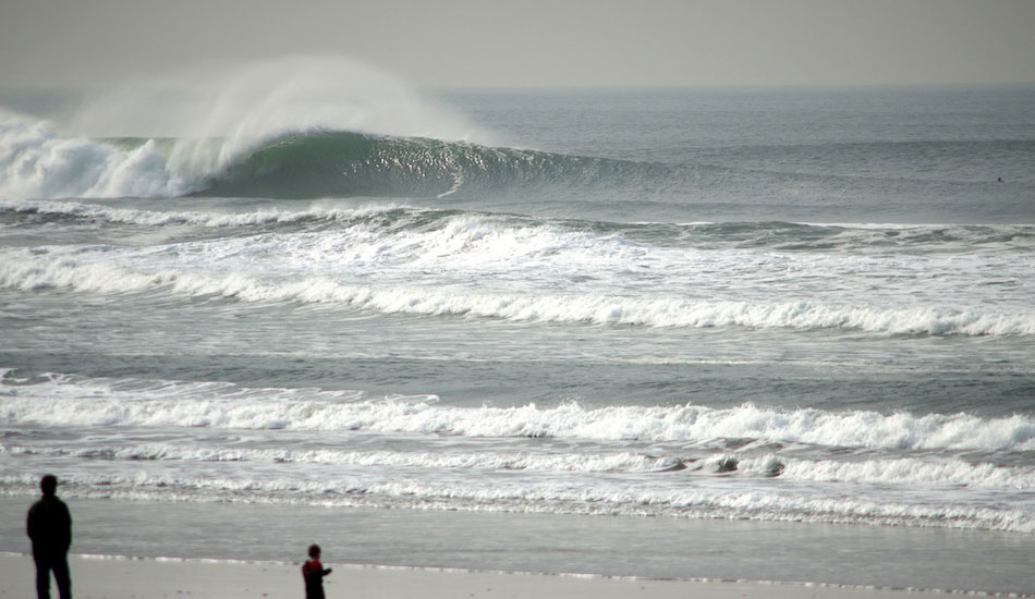 Winter energy unfolding all alone. Photo: <a href=\"https://www.milesjackler.com\">Miles Jackler</a>