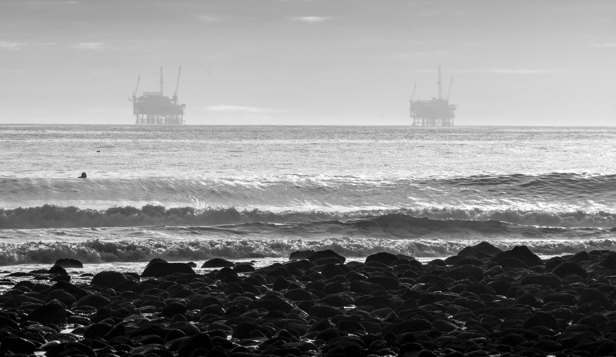 The watchers. Photo: <a href=\"https://www.milesjackler.com\"MilesJackler.com</a>