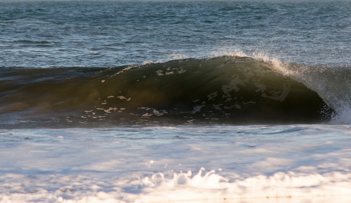 Insert a miniature version of yourself here. Photo: <a href=\"https://www.milesjackler.com\"MilesJackler.com</a>