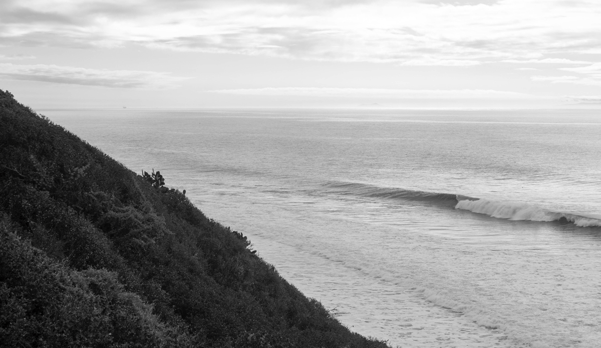 This is what was around that corner you decided not to round. Photo: <a href=\"https://www.milesjackler.com\"MilesJackler.com</a>