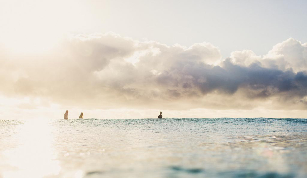 Photo: <a href=\"https://www.mingnomchong.com/\" target=_blank>Ming Nomchong</a>. 