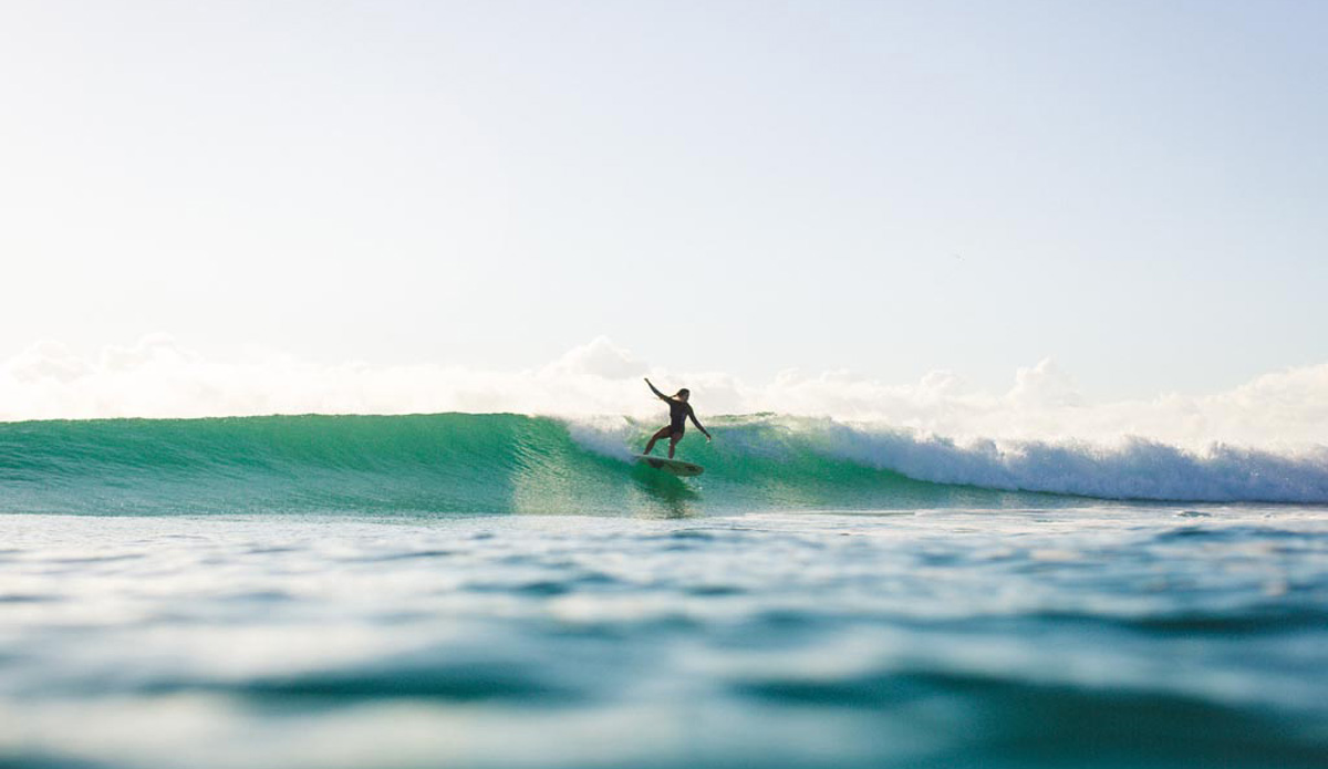 Photo: <a href=\"https://www.mingnomchong.com/\" target=_blank>Ming Nomchong</a>. 