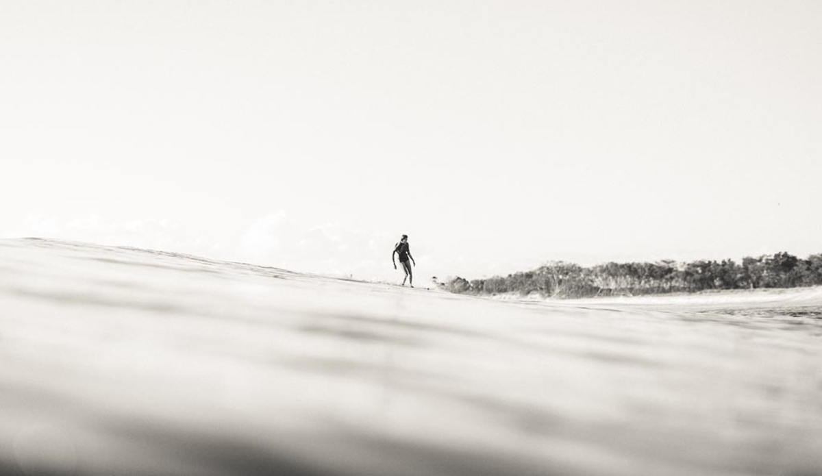 Photo: <a href=\"https://www.mingnomchong.com/\" target=_blank>Ming Nomchong</a>. 