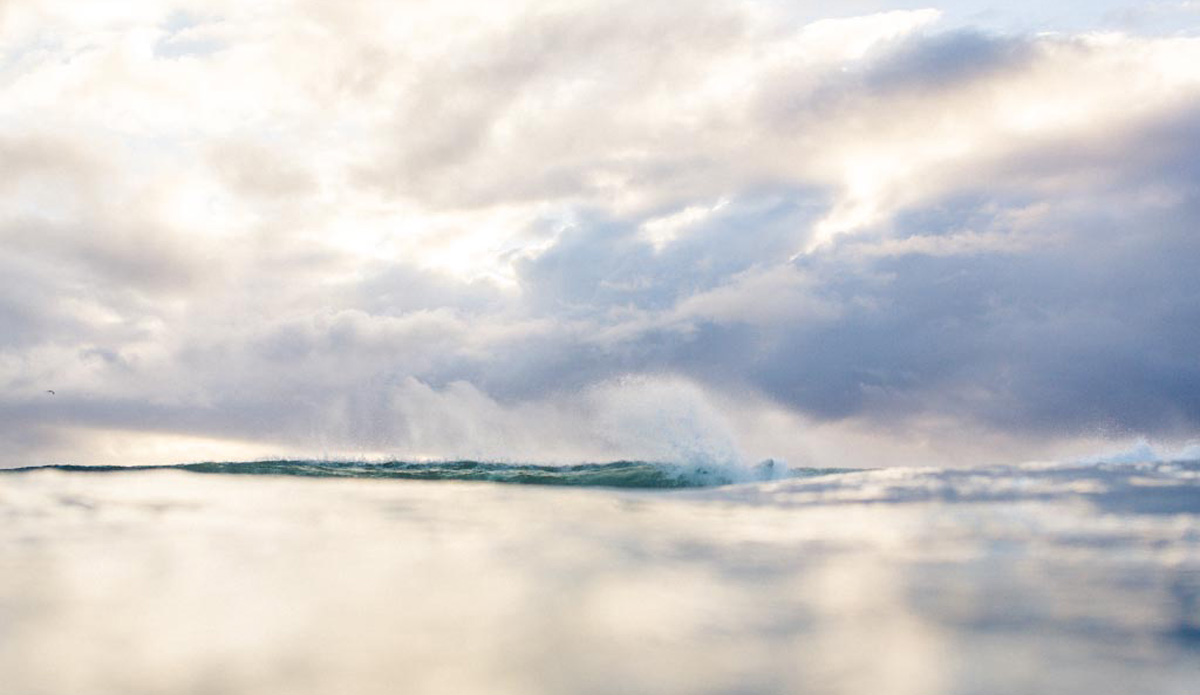 Photo: <a href=\"https://www.mingnomchong.com/\" target=_blank>Ming Nomchong</a>. 