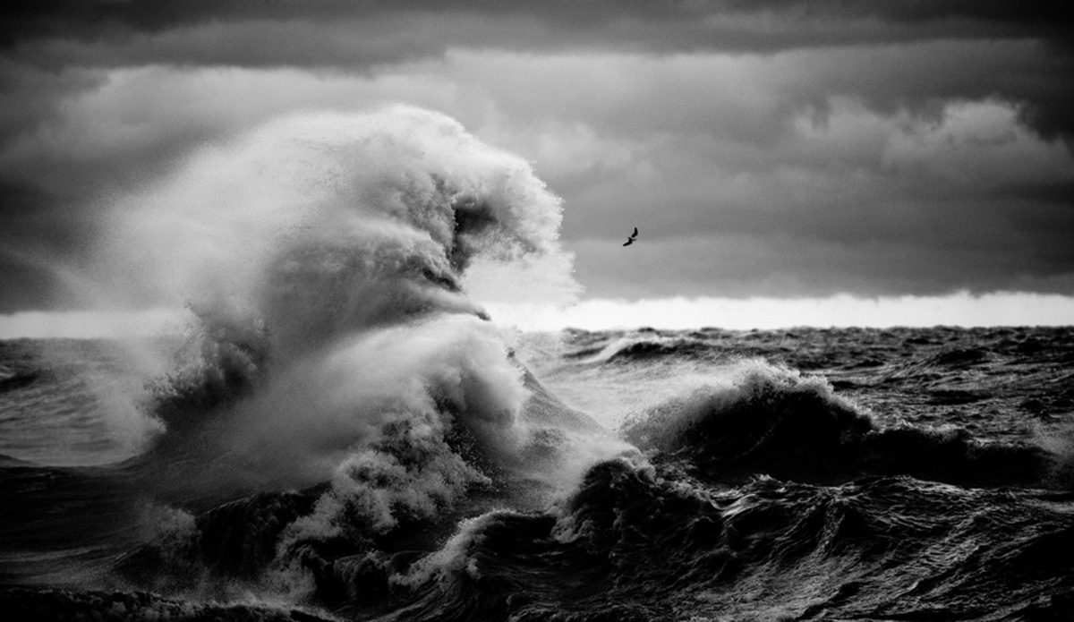 Photo: Mitchell Hubble