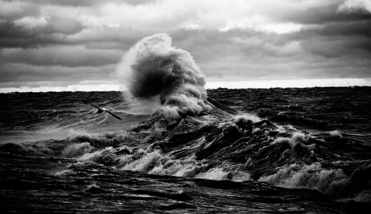 Photo: Mitchell Hubble