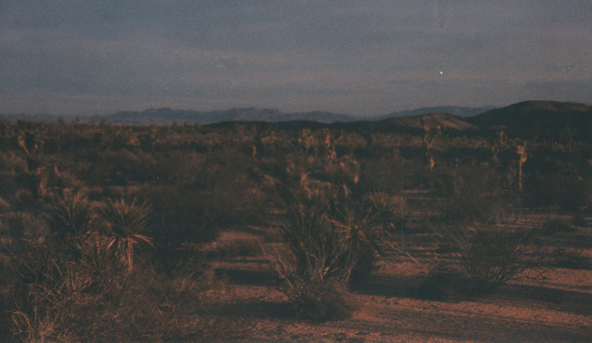 Photo: Brendan Donahue