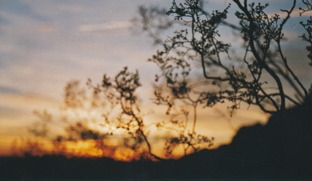 Photo: Brendan Donahue