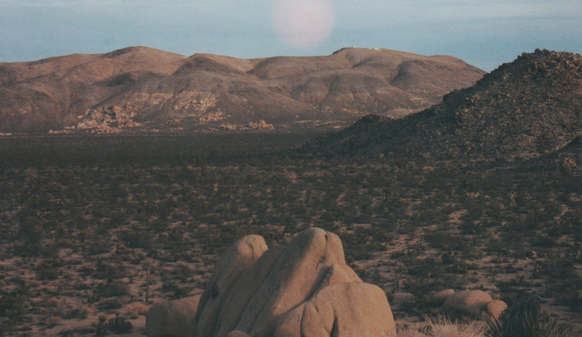 Photo: Brendan Donahue