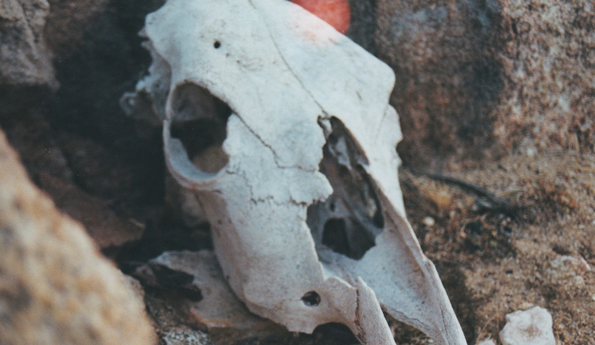 Photo: Brendan Donahue