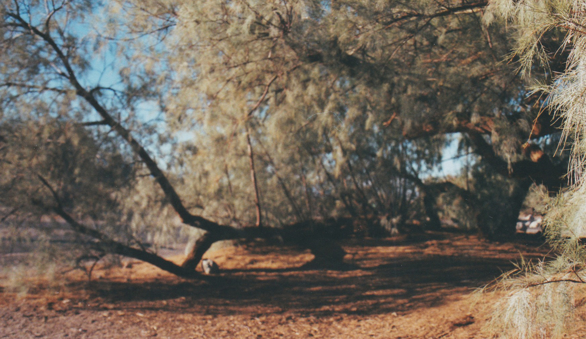 Photo: Brendan Donahue