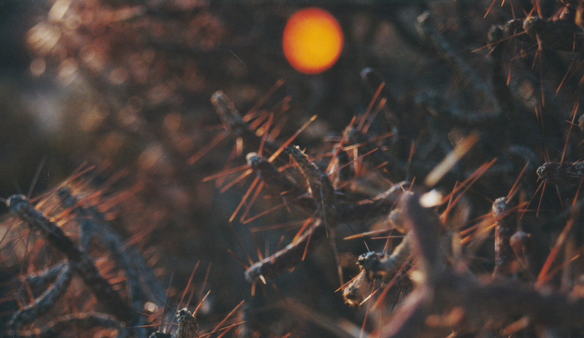 Photo: Brendan Donahue