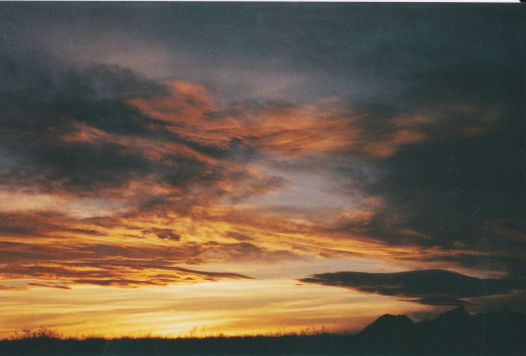 Photo: Brendan Donahue