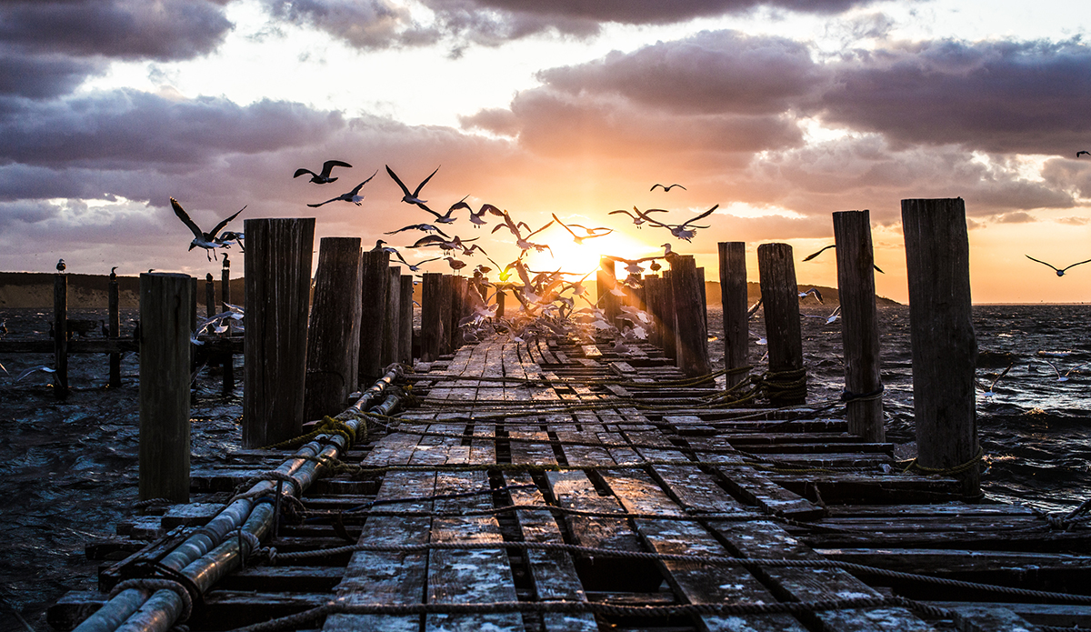 Photo: James Katsipis