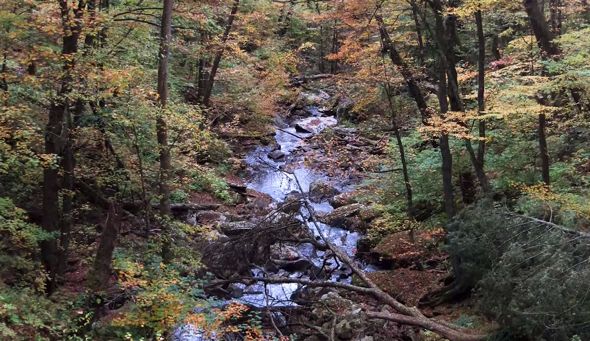 Screenshot: <a href=\"https://www.youtube.com/watch?v=gaGz_Ob3sI8\">KEEN</a>