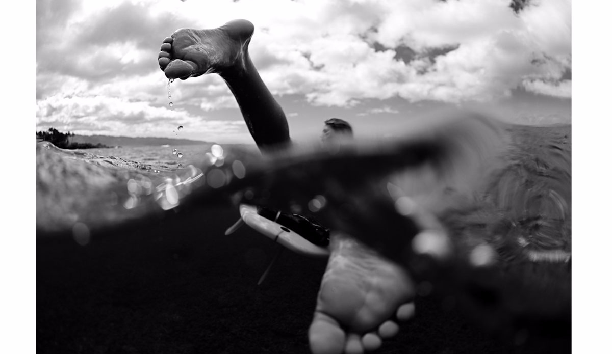 Photo:<a href=\"https://www.morganmaassen.com/\">Morgan Maassen</a>