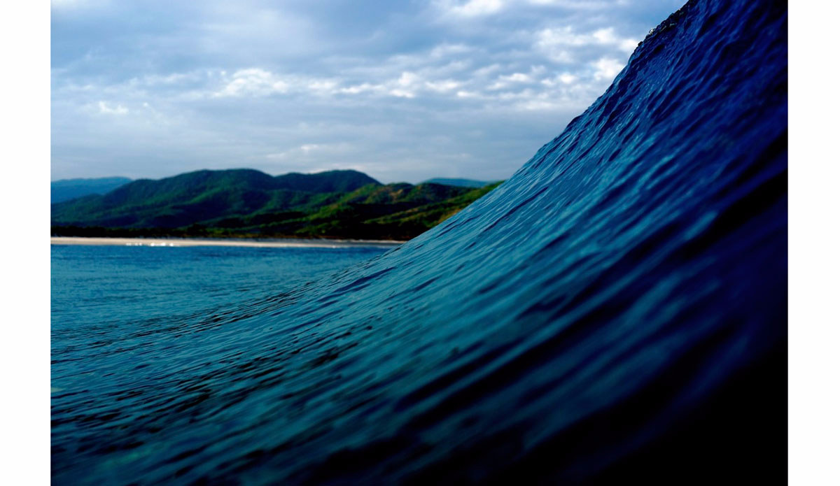 Photo:<a href=\"https://www.morganmaassen.com/\">Morgan Maassen</a>