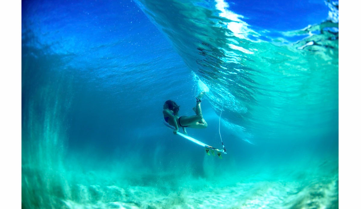 Photo:<a href=\"https://www.morganmaassen.com/\">Morgan Maassen</a>