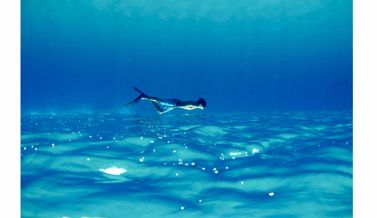 Photo:<a href=\"https://www.morganmaassen.com/\">Morgan Maassen</a>