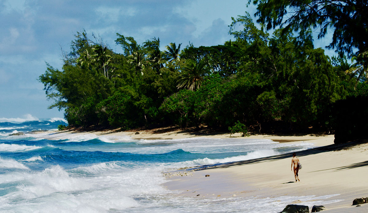 Photo: <a href=\"https://www.instagram.com/morganmaassen/\">Morgan Maassen</a>