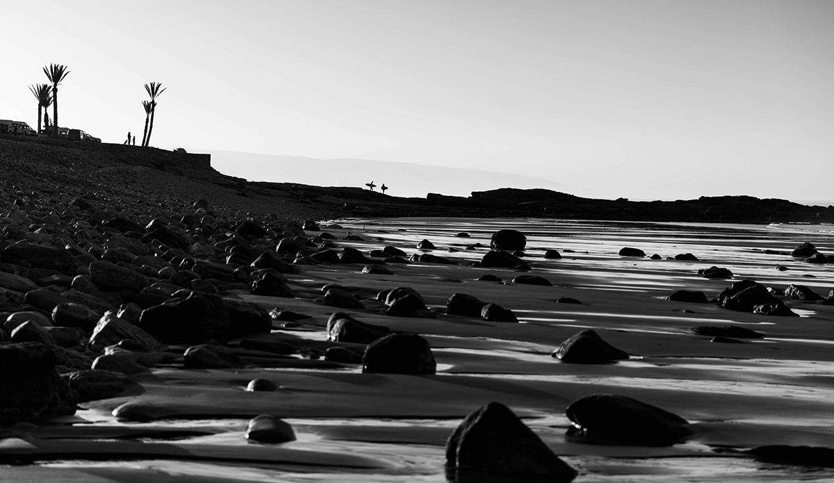 Photo: Nick White // @nickwhiteinstagram