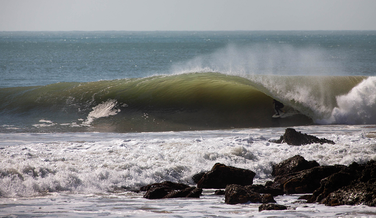 Photo: Nick White // @nickwhiteinstagram