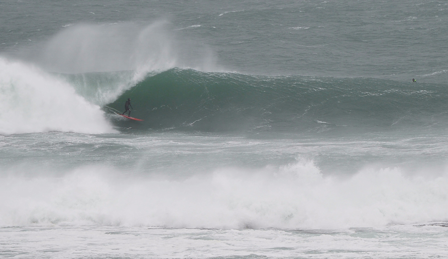 Will Skudin. Photo: <a href=\"https://www.facebook.com/shannonmariereporting\">@ShannonReporting</a>