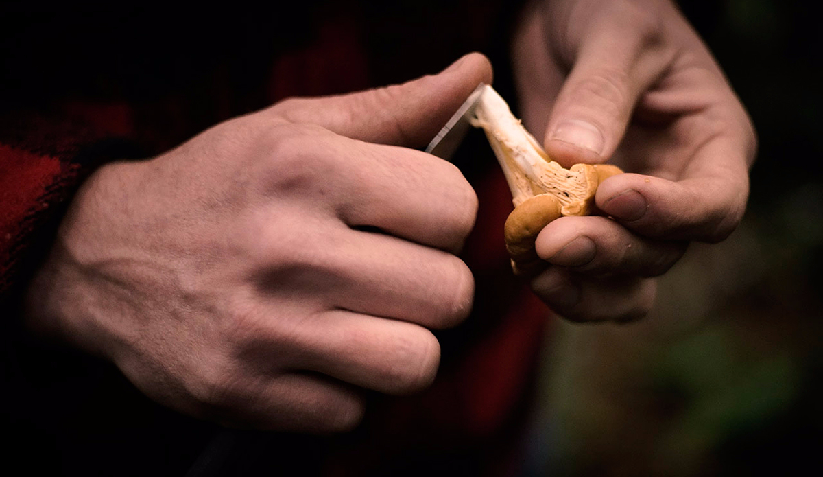 Photo: Amado Stachenfeld