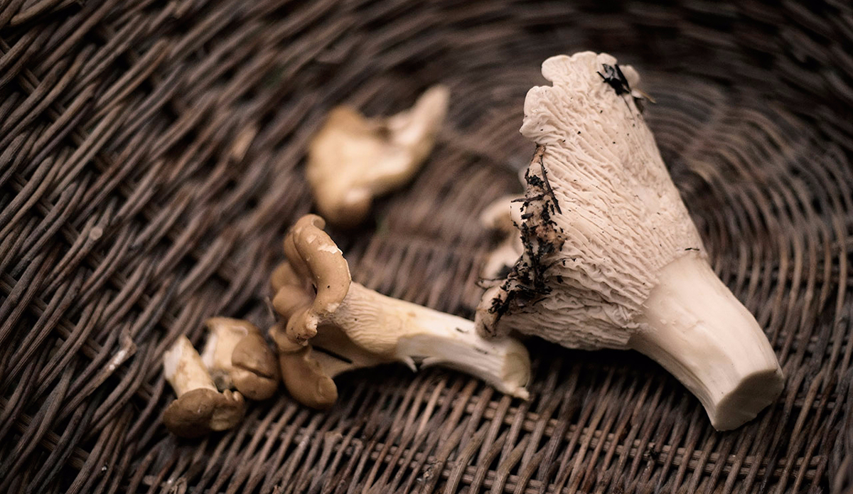 Photo: Amado Stachenfeld