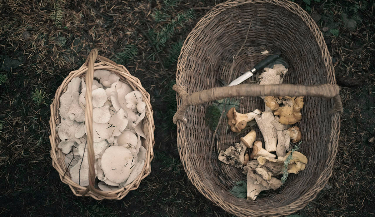 Photo: Amado Stachenfeld