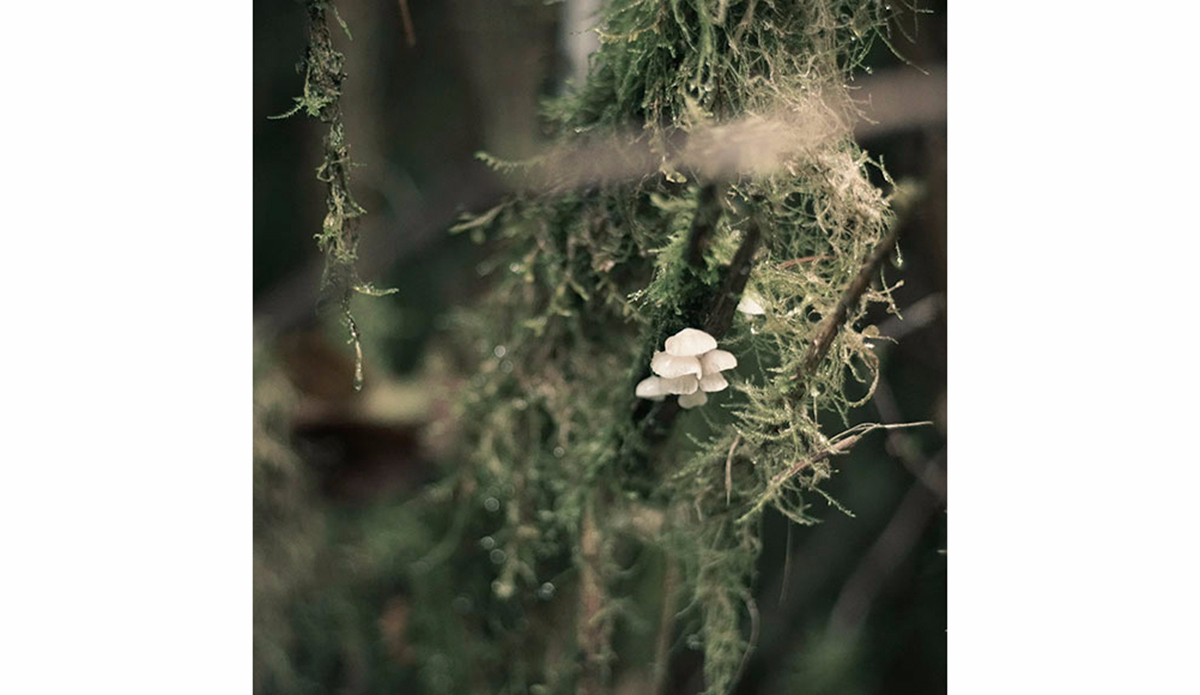 Photo: Amado Stachenfeld