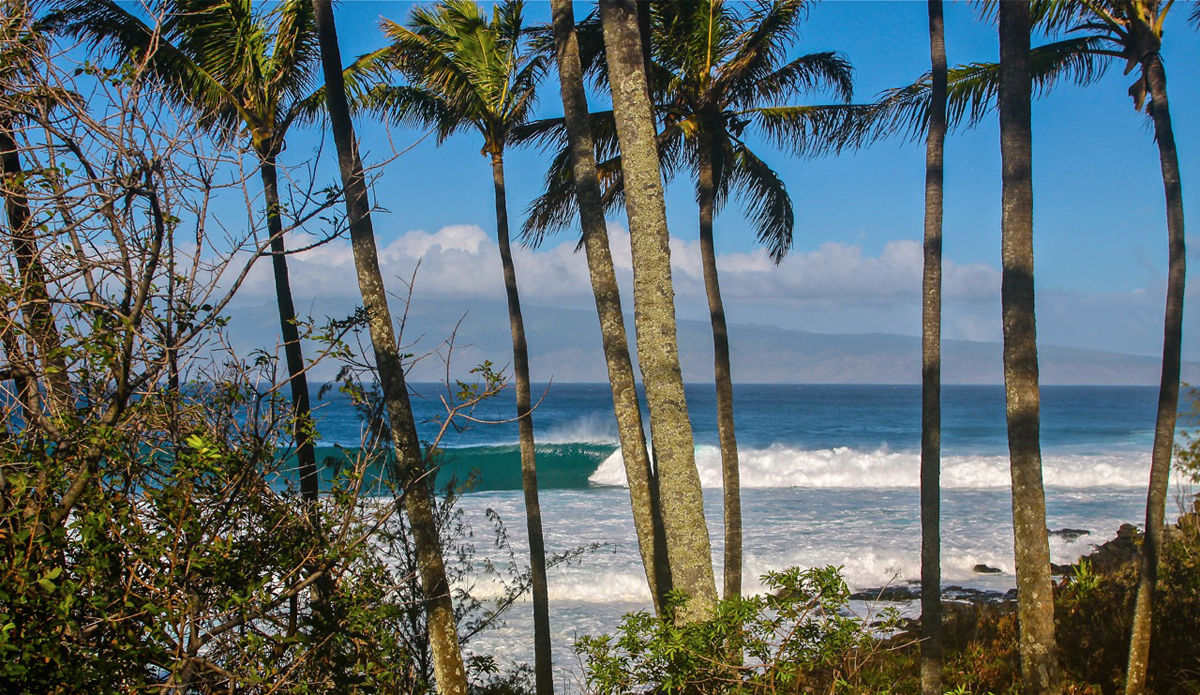 Evolution. Photo: DoomaPhoto