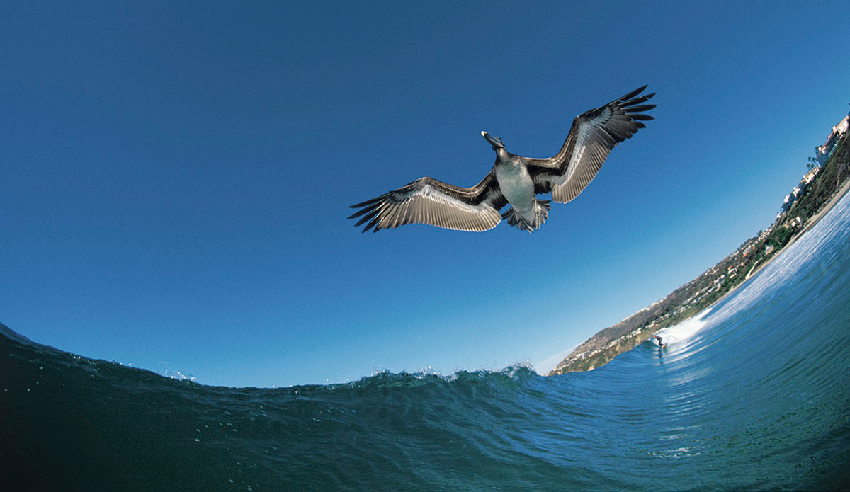 Photo: <a href=\"https://www.nakisurf.com/\">Naki</a>