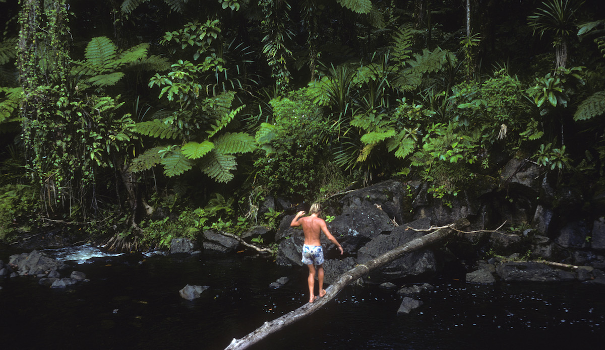 Pohnpei, Micronesia. Photo: John Ritter