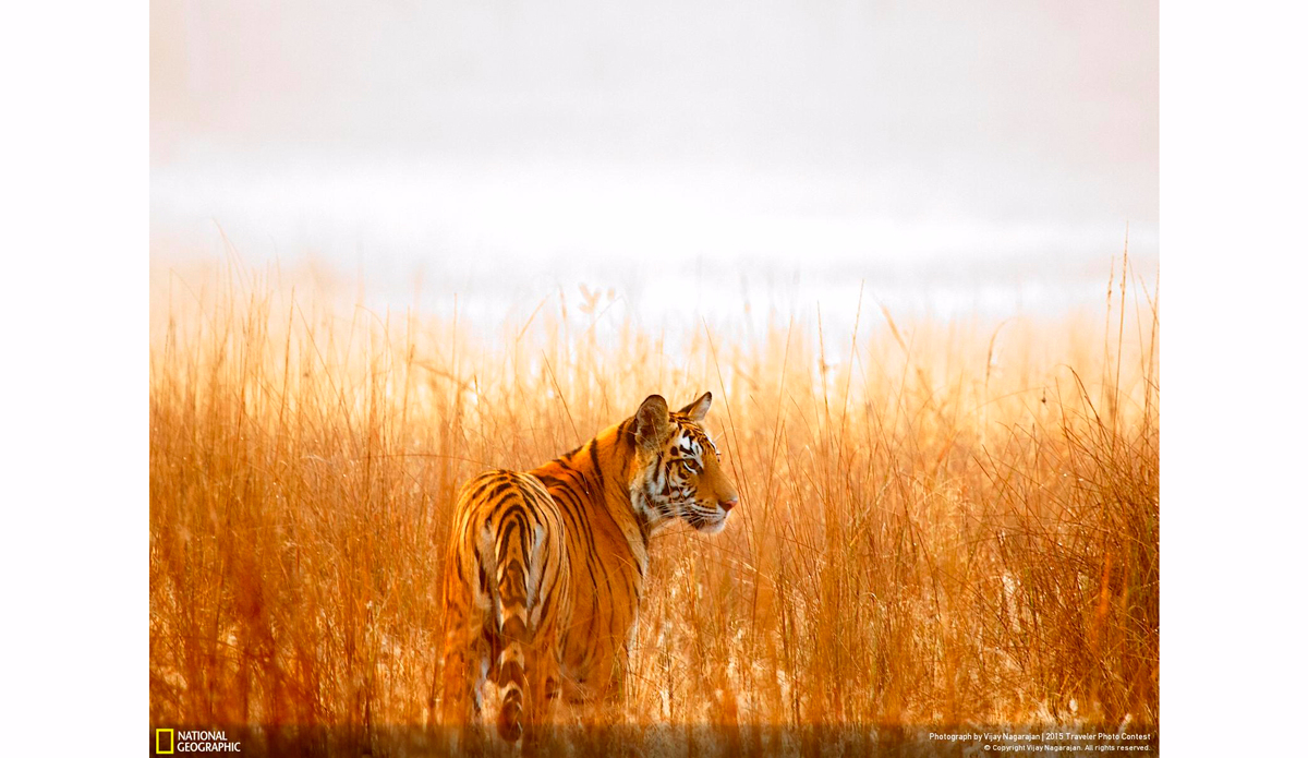 Future - Bright or Faded. Photo: Vijay Nagarajan