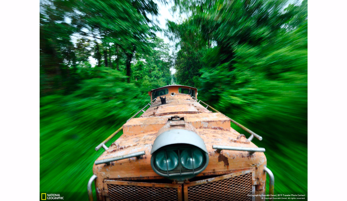 Train to Forest. Photo: Saurabh Desai