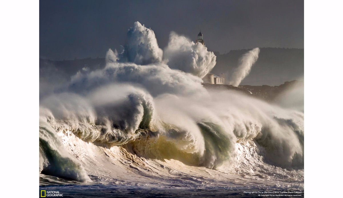 Fury. Photo: Oscar Martinez