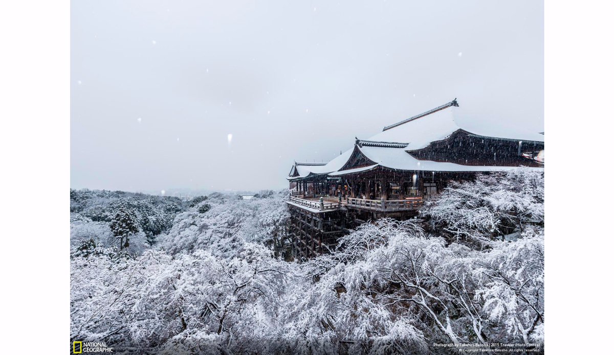 Standing still. Photo: Takahiro Bessho