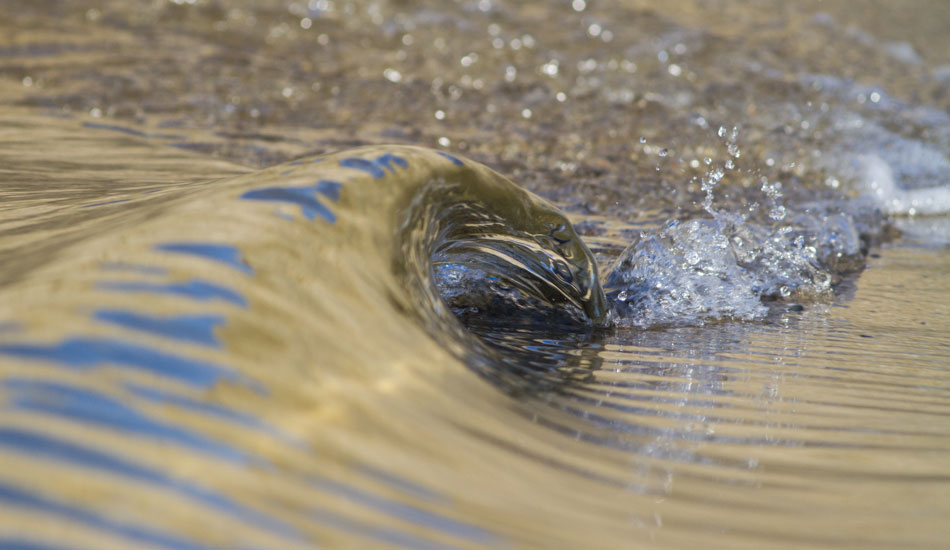 Orange County mini-wave. Photo: <a href=\"https://www.nathanfrenchphotography.com\">Nathan French</a>