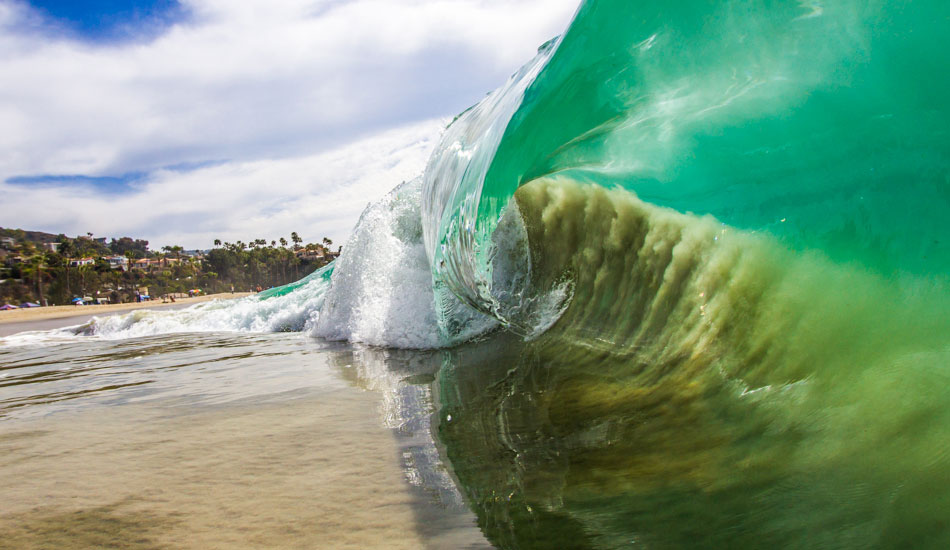 Orange County sand sucker. Photo: <a href=\"https://www.nathanfrenchphotography.com\">Nathan French</a>