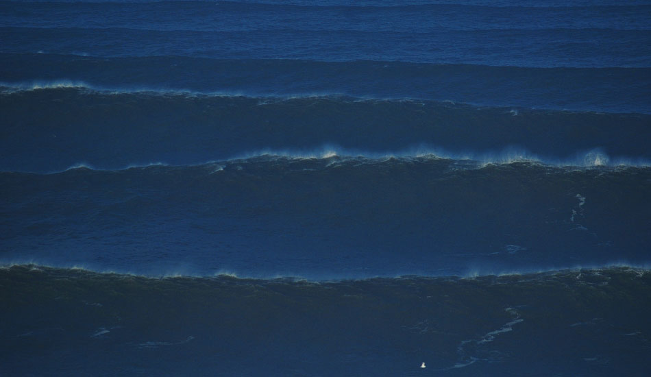 Photo: Jorge Figueira