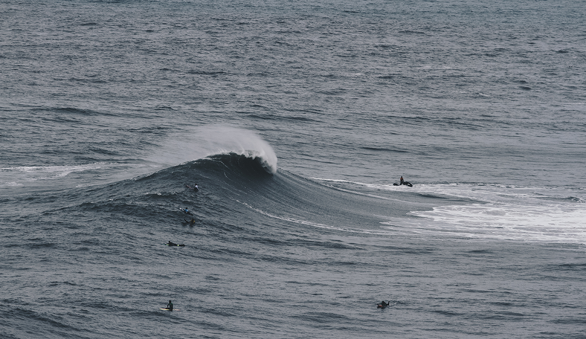 Photo: Marie Pfisterer