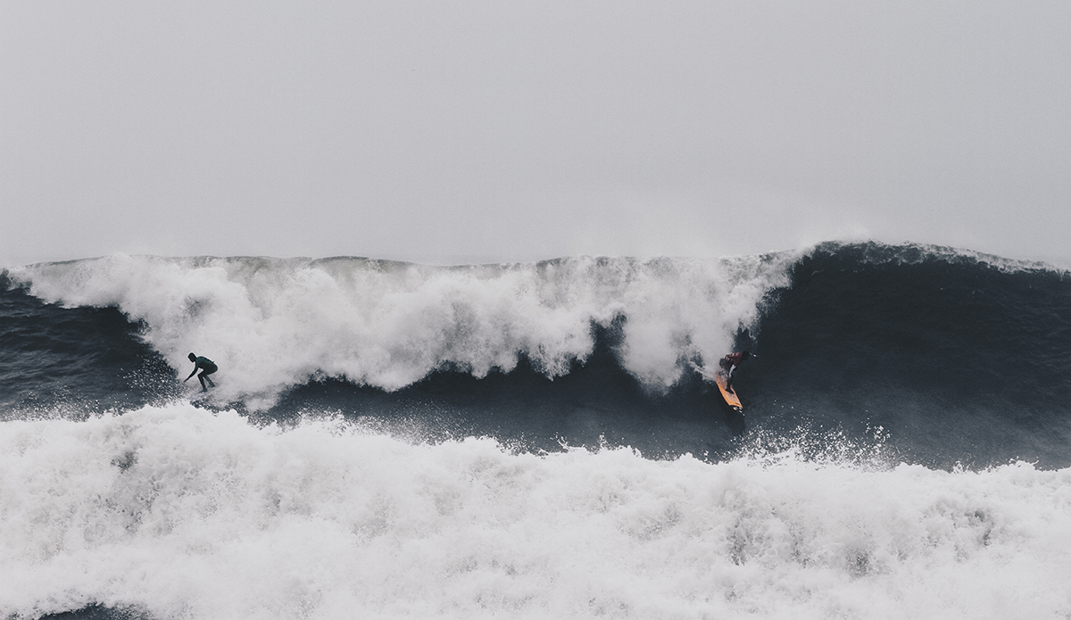 Photo: Marie Pfisterer