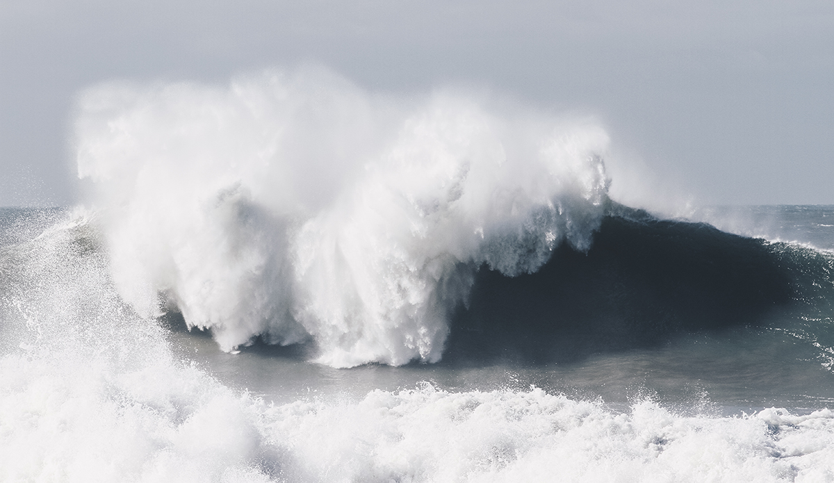 Photo: Marie Pfisterer