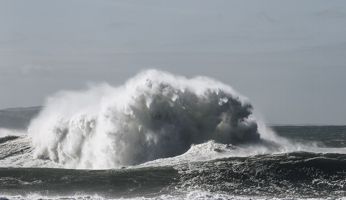 Photo: Marie Pfisterer