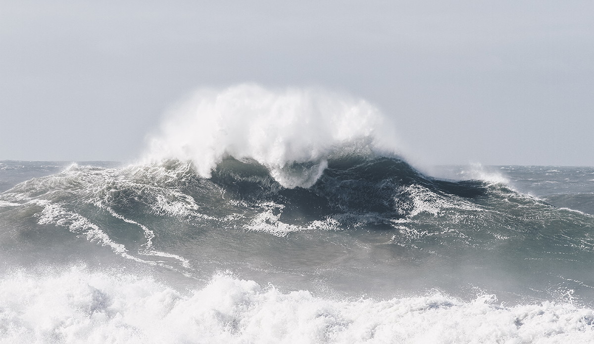 Photo: Marie Pfisterer