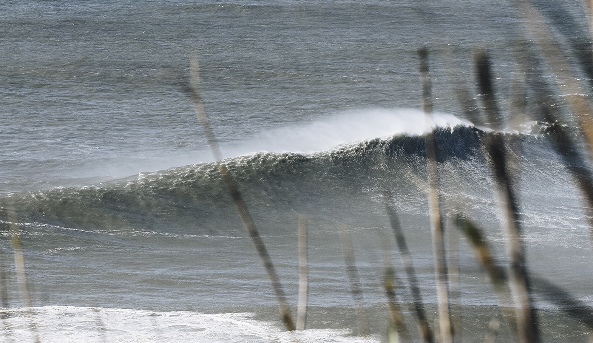 Photo: Marie Pfisterer