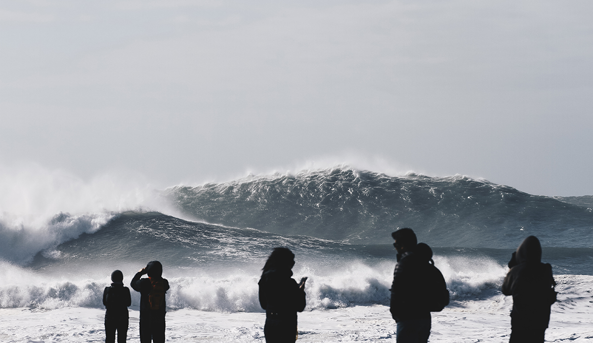 Photo: Marie Pfisterer