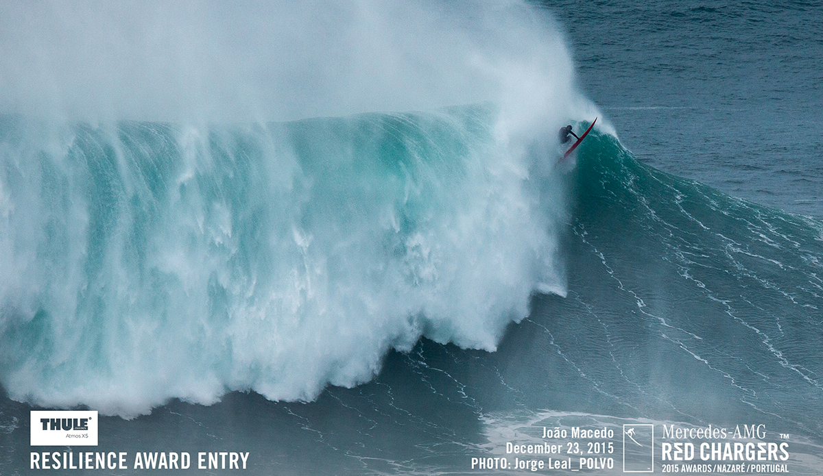 Joao Macedo. Photo: Jorge Leal