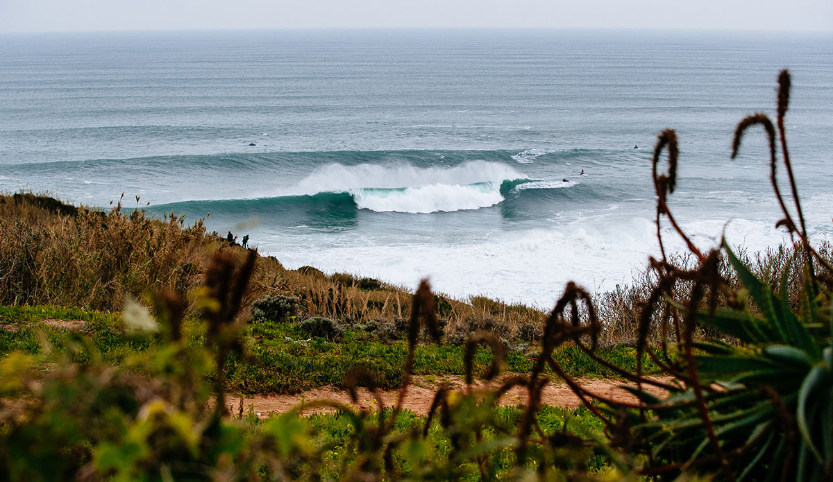 A sight anyone is awestruck by. Photo: WSL
